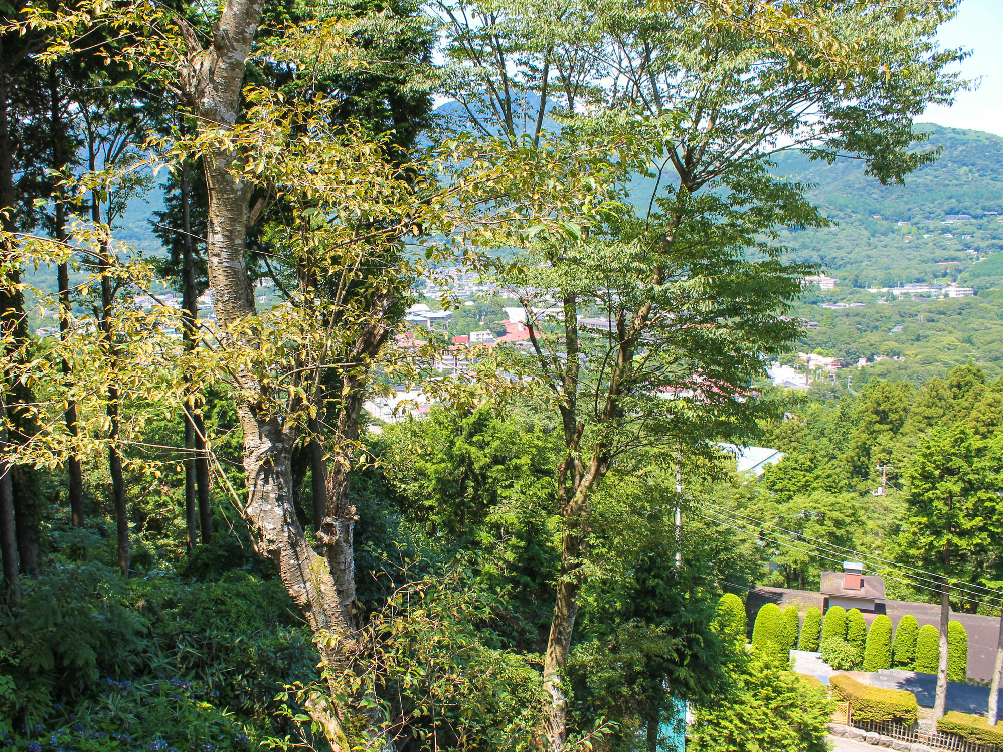Livemax Resort Hakone Sengokuhara Экстерьер фото